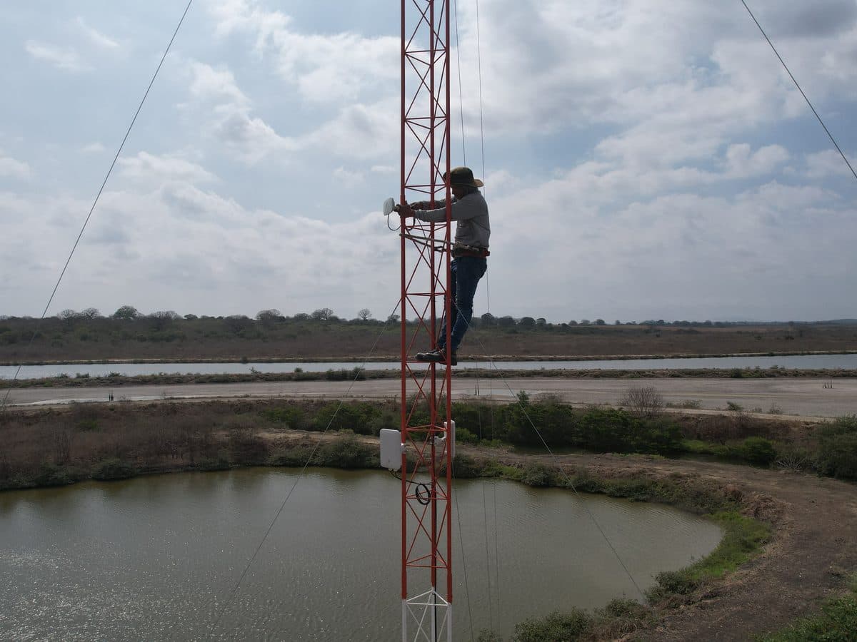 Técnico de INVOCE subido a una torre arriostrada junto a piscinas de camaronera.